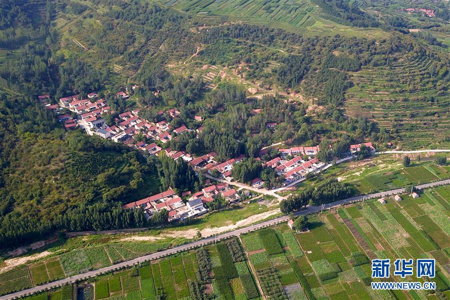 这是无人机航拍的沂水县院东头镇立岩涧村(8月15日摄.