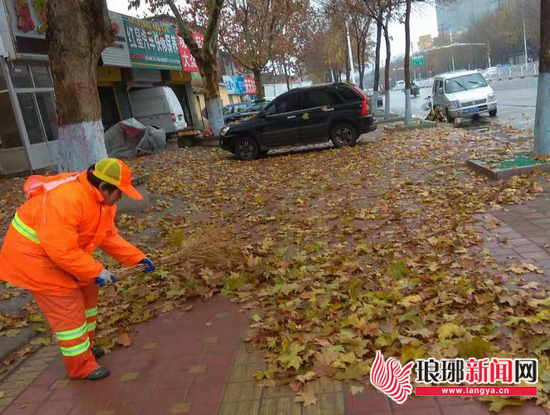 降温降雨落叶飘,环卫工人冒雨清扫落叶