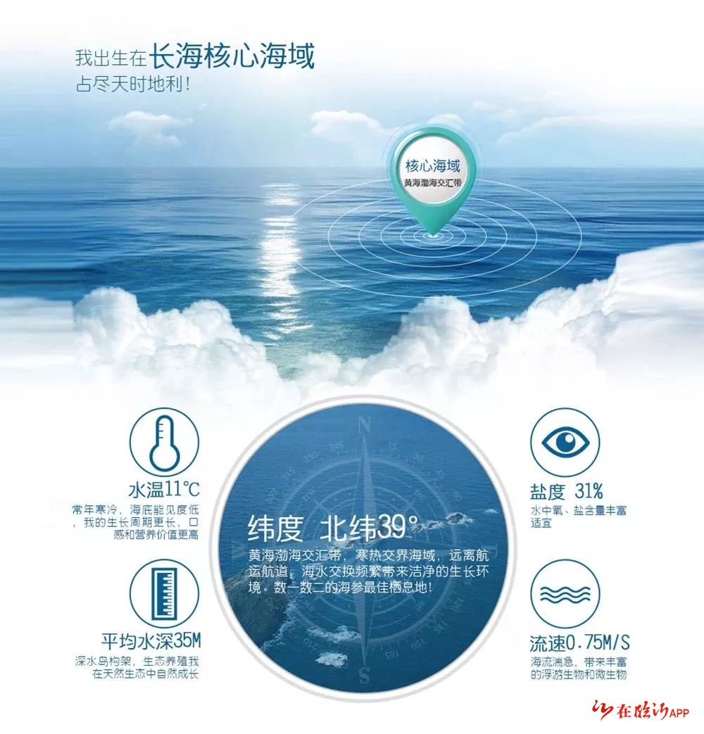 "东耀"水产海参苗养殖地紧邻养马岛,与养马岛隶属同一海域,地理位置图片