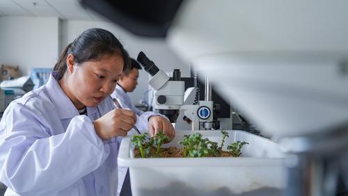 产学研深度融合 给农业插上科技翅膀
