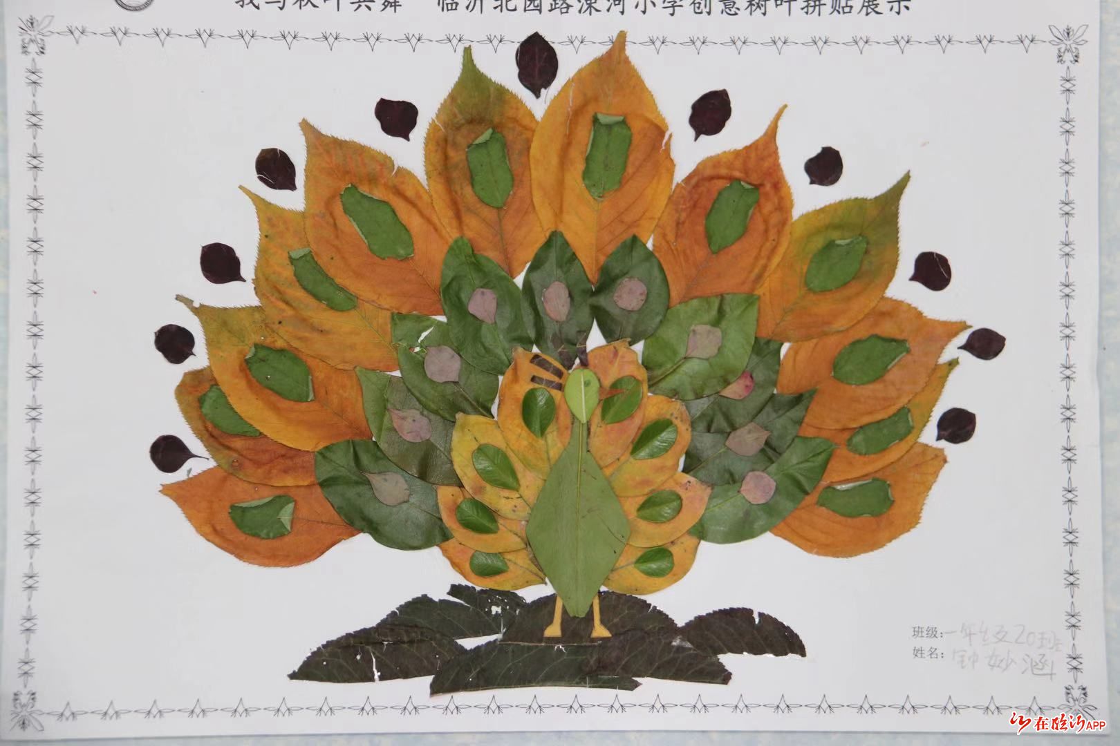 "我与秋叶共舞"--- 临沂北园路涑河小学开展第二届树叶粘贴画活动