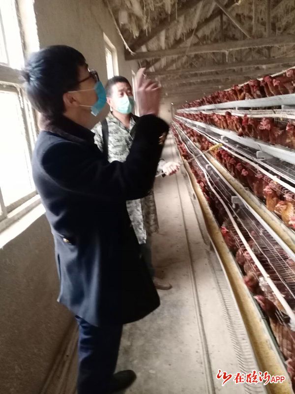 华体会- 华体会体育官网- 华体会体育APP下载10个赚钱农村养殖致富项目推荐