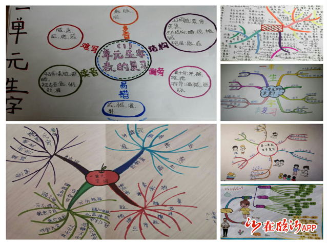 【教学纵横】临沂三河口小学语文老师王松霞:思维导图