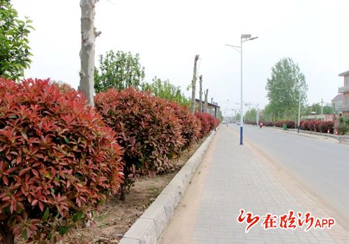 郯城县花园乡人居环境大整治助力乡村换新颜