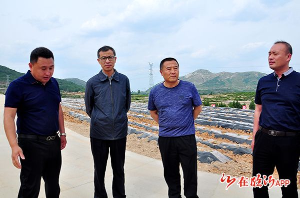 5月24日,建设36团到联城镇考察土地整治项目,副王锦栋
