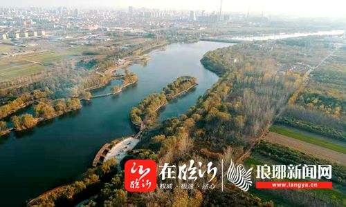 山东郯城:白马河湿地公园初冬如画(航拍组照-在临沂