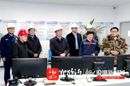 王立军带队督导安全生产工作-在临沂