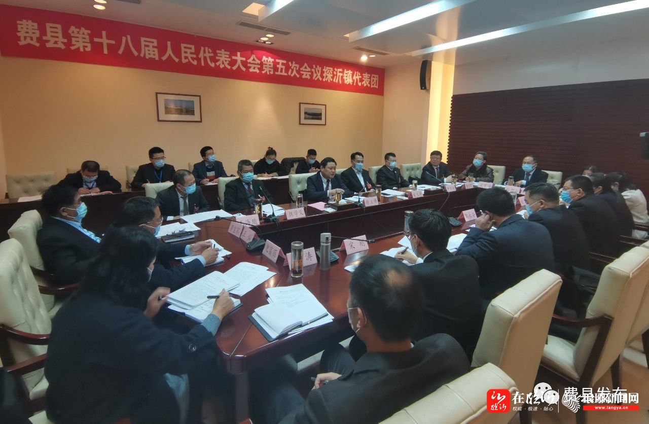 费县:县领导与人大代表审议《政府工作报告-在临沂