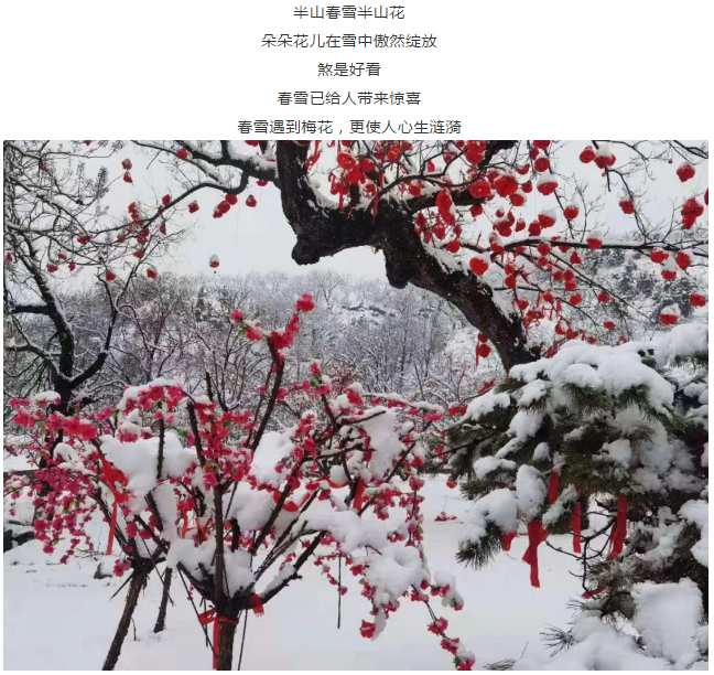 一山春雪见梅花!天蒙山邀您踏雪寻梅闹元宵,免费吃汤圆,赏冰花!