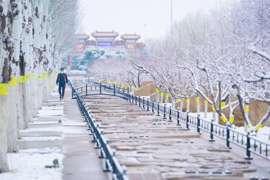 一觉醒来,北京又下雪了!雪景图新鲜出炉