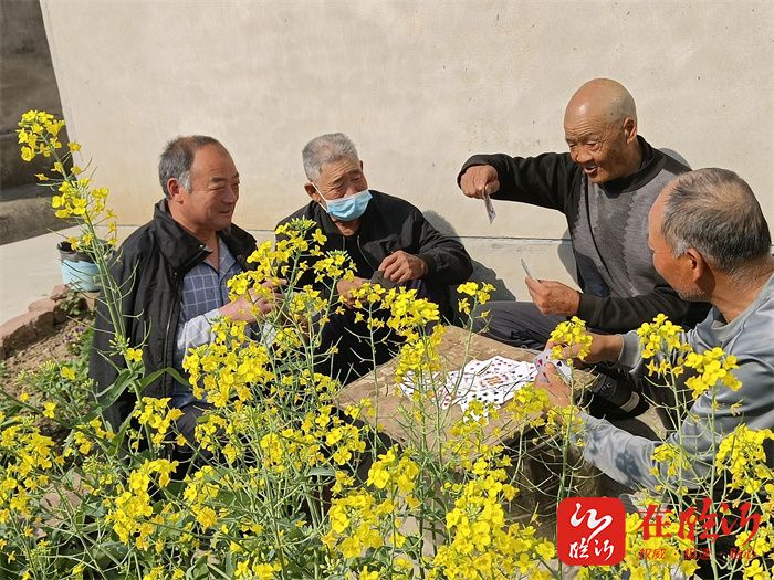 品质河东61镇街要闻梅家埠街道大墩村油菜花开春意盎然