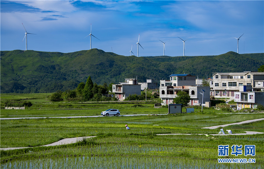 贵阳花溪高坡夏日田园风光好画卷