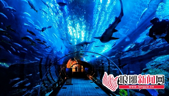 海立方海底隧道效果图项目建成后,360度全景珊瑚可让市民欣赏到世界级