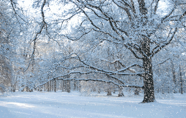 风雪夜临沂,围炉咏雪祝你晚安