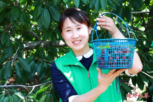 临沂费县宣传部长为费县大樱桃代言