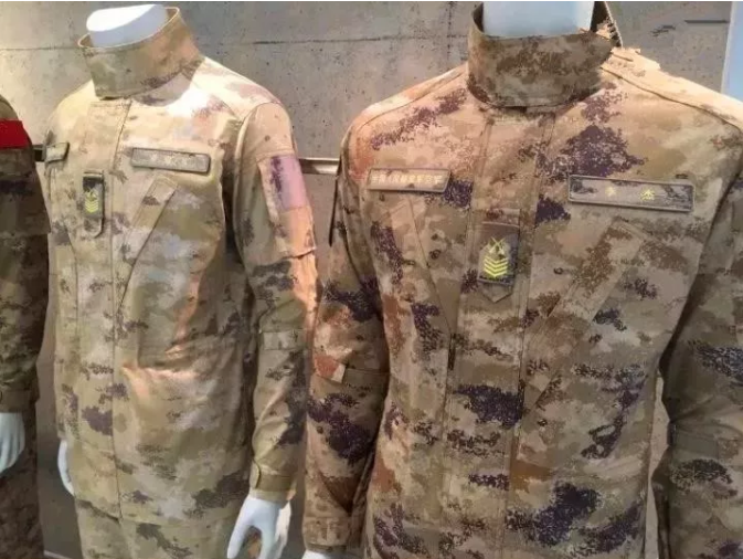 仅在外表上难以判别 新式迷彩服穿戴人员所属军种 回归到了迷彩的