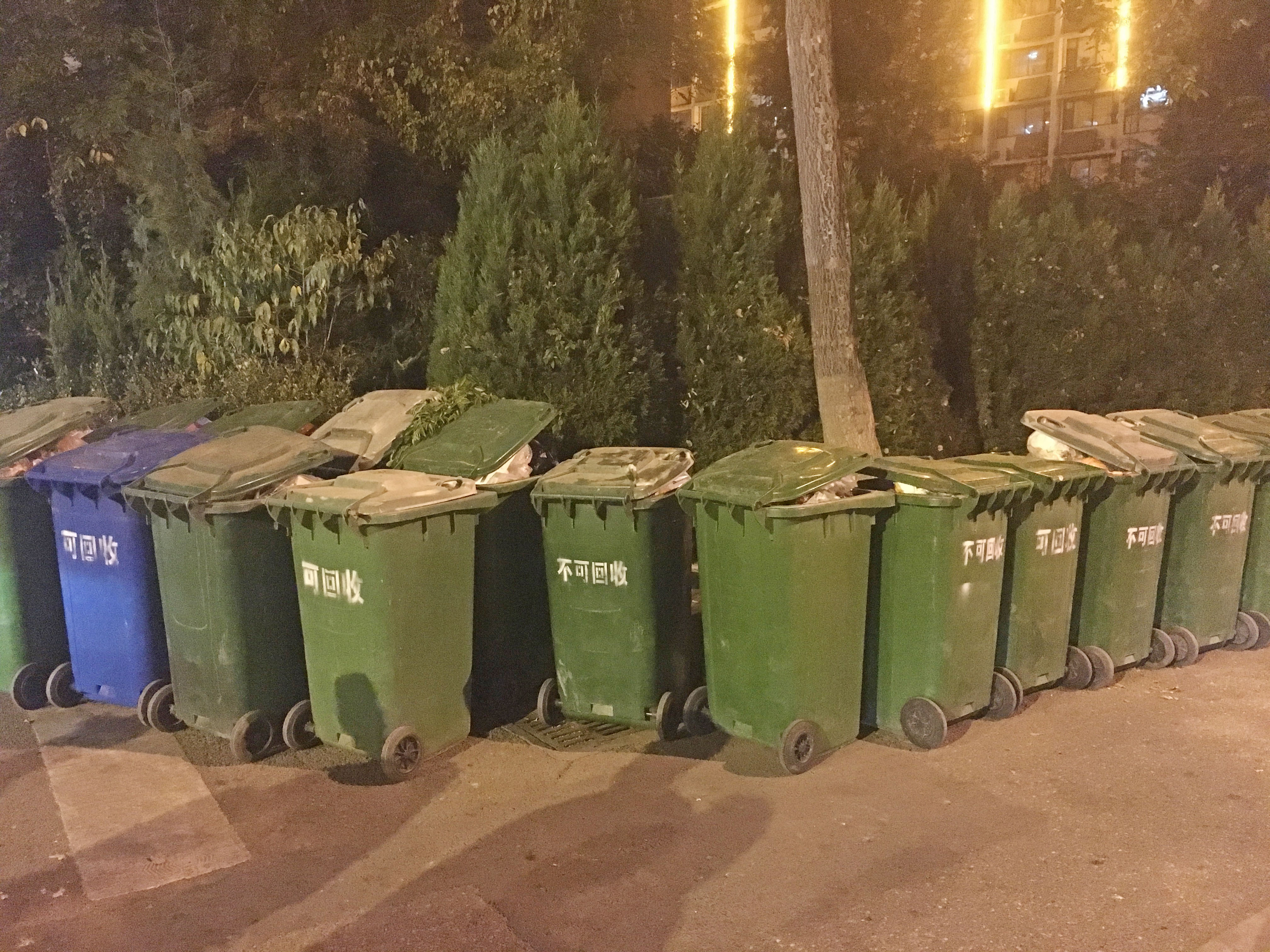 小区门口成了小区临时垃圾收运点傍晚垃圾桶成排堆