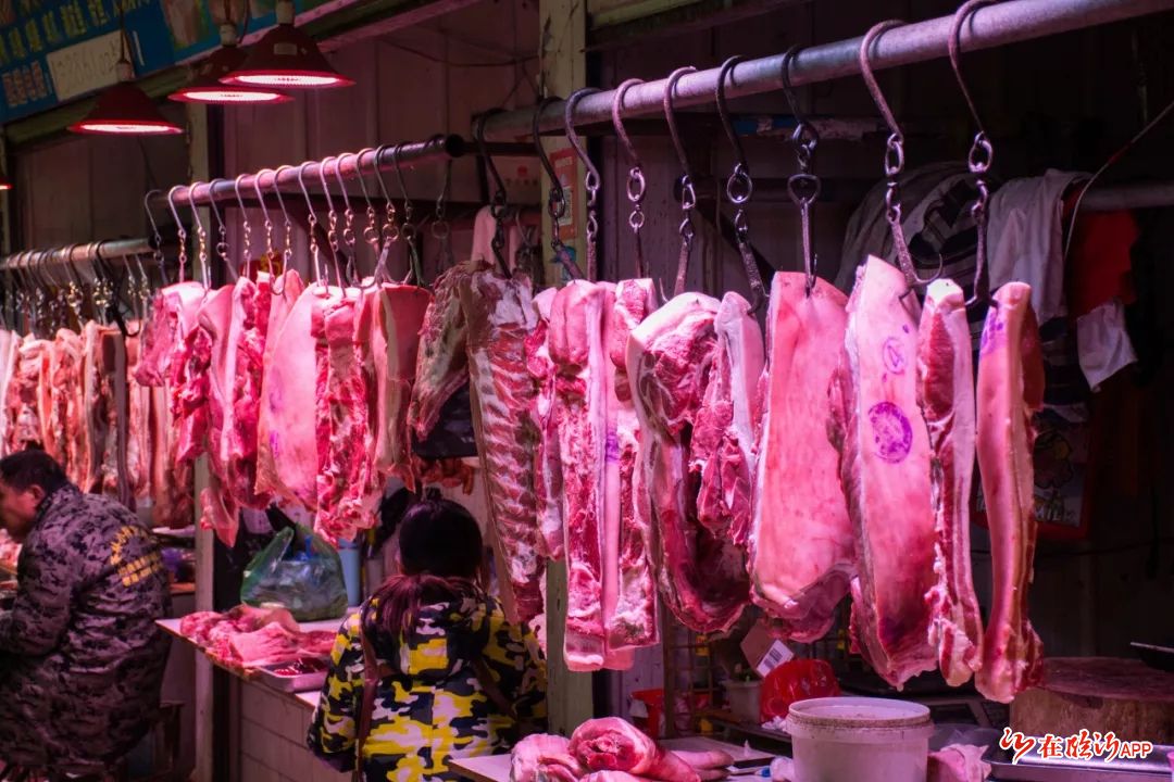 从供应来看,大规模的猪肉进口暂时缓解了国内的供应压力,今年前三季度