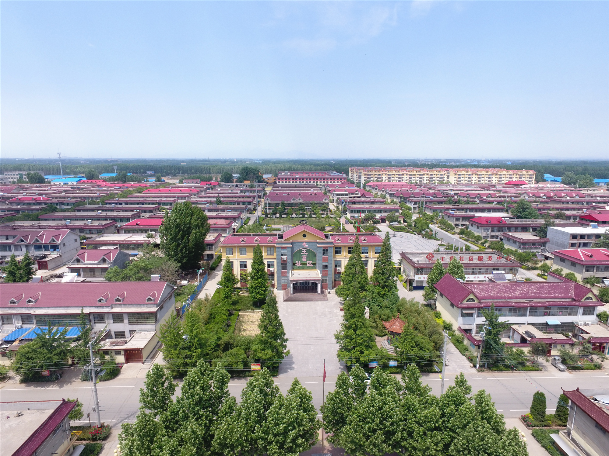 探沂镇借力新旧动能转换助推乡村全面振兴