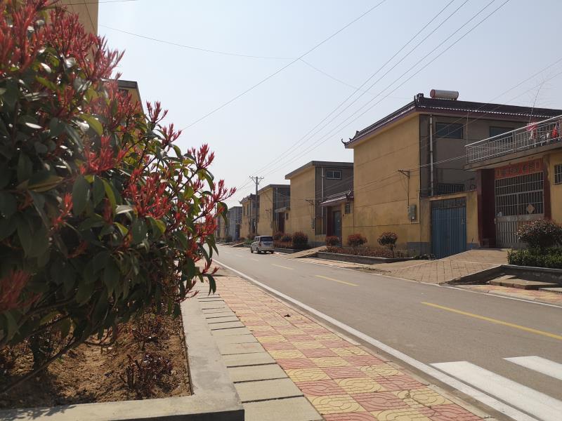 罗庄区盛庄街道:扎实推进人居环境整治 建设美丽宜居新农村