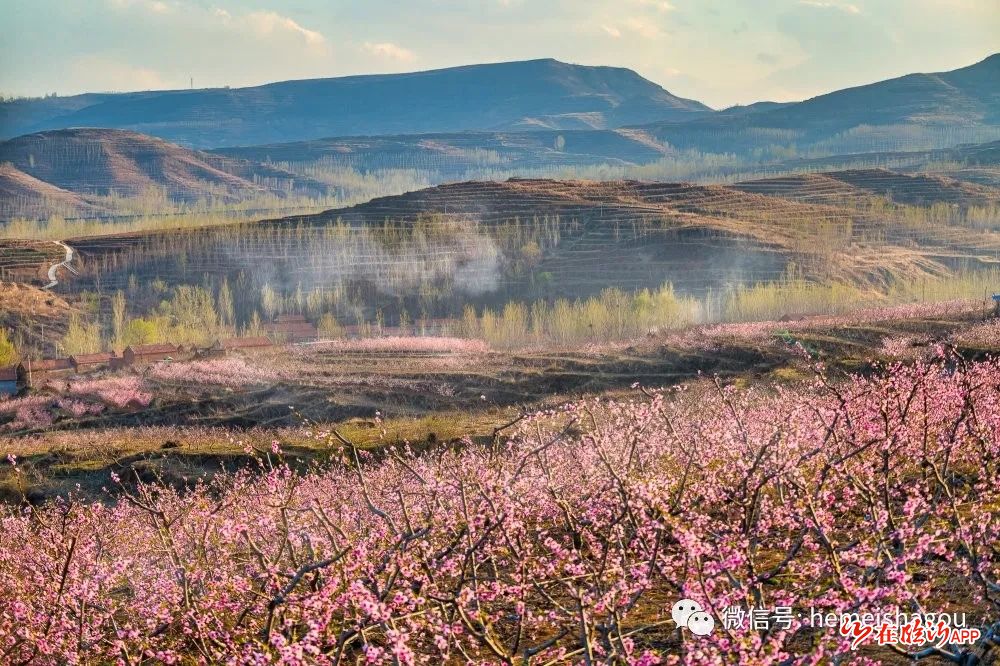 沂水沙沟醉美人间四月天