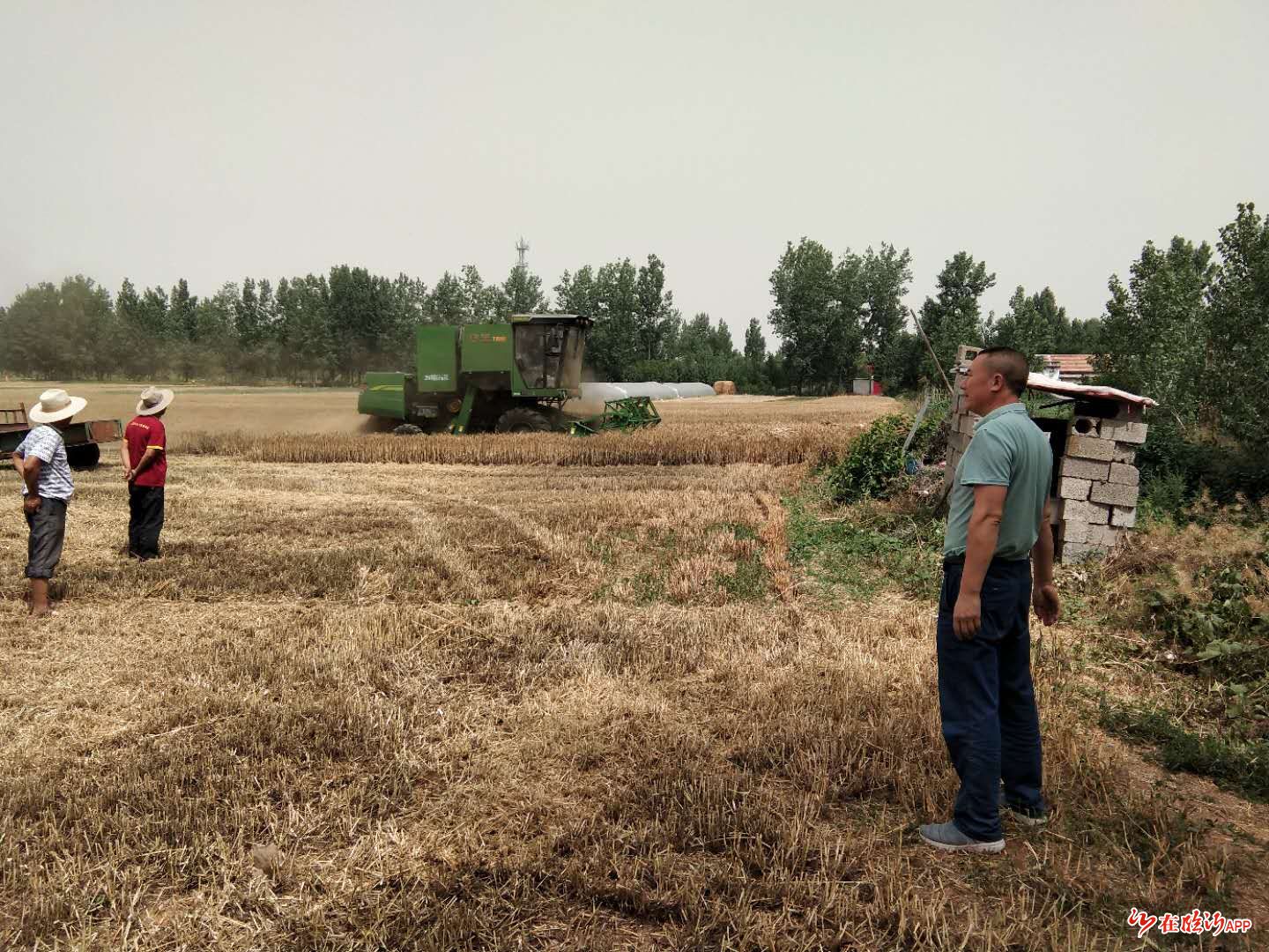 绷紧防火弦筑牢防火墙兰陵县新兴镇提早部署切实做好夏季防火工作