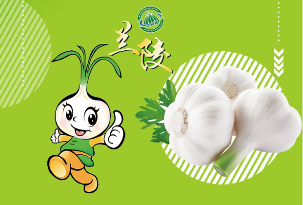 h5   兰陵网上大蒜节 你想知道的都在这里  打开app