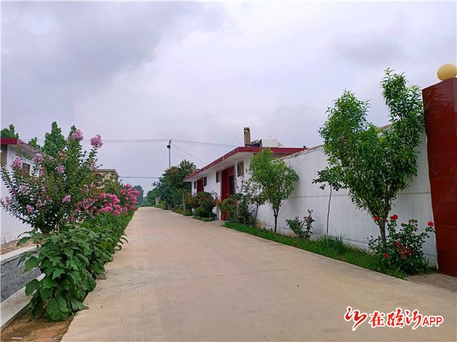 河东区人大常委会视察汤河镇人居环境综合整治工作