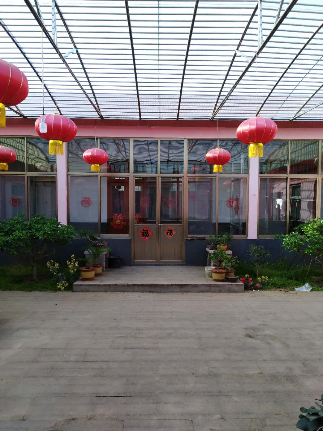 莒南美在农家庭院静守一院葱茏岁月安然静好