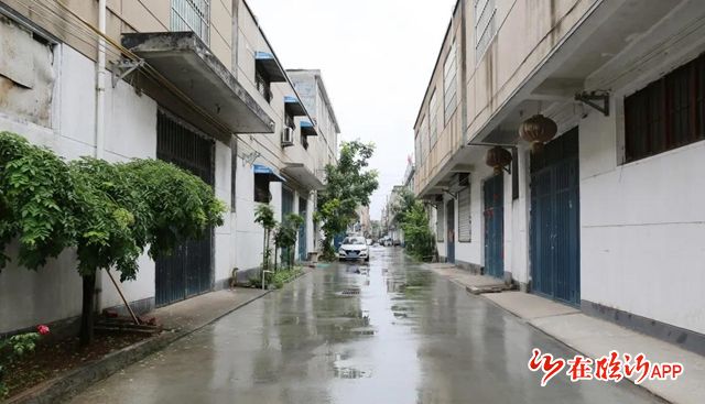 银雀山街道人居环境整治工作打擂攻坚争扛红旗