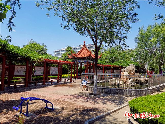 河东区芝麻墩街道街道村居当起管家婆社区旧貌换新颜