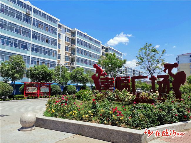 河东区芝麻墩街道街道村居当起管家婆社区旧貌换新颜