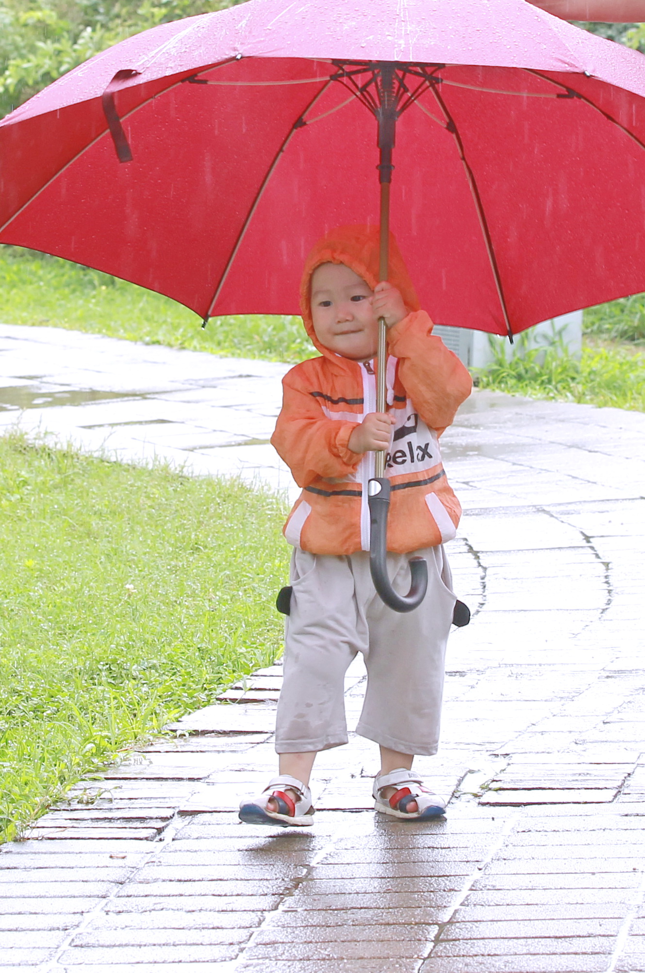 一位小朋友在家人的带领下雨中嬉戏.