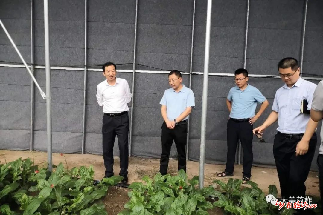 县委常委组织部长刘健铭同志到芦柞镇调研