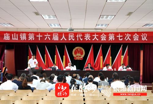 郯城王慧敏当选庙山镇人民政府镇长