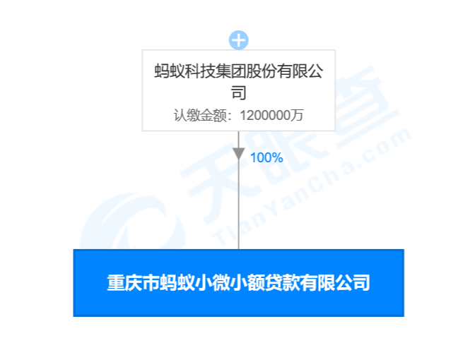 所属公司为重庆市蚂蚁小微小额贷款有限公司