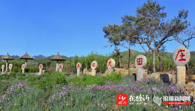 大田庄乡:"美在农家"打通美丽乡村"最后1米"-在临沂