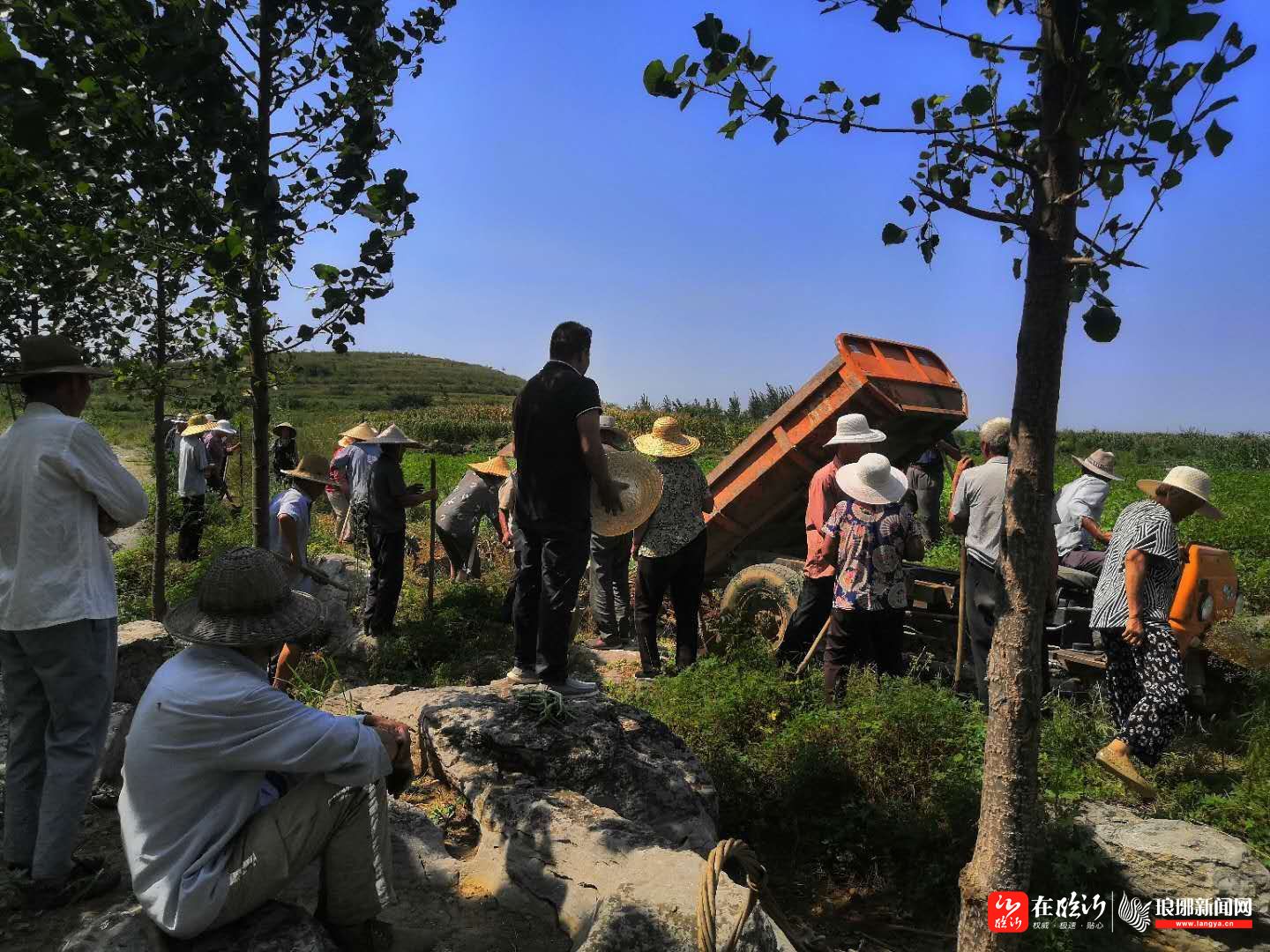 67大仲村镇整修生产路备战秋收秋种