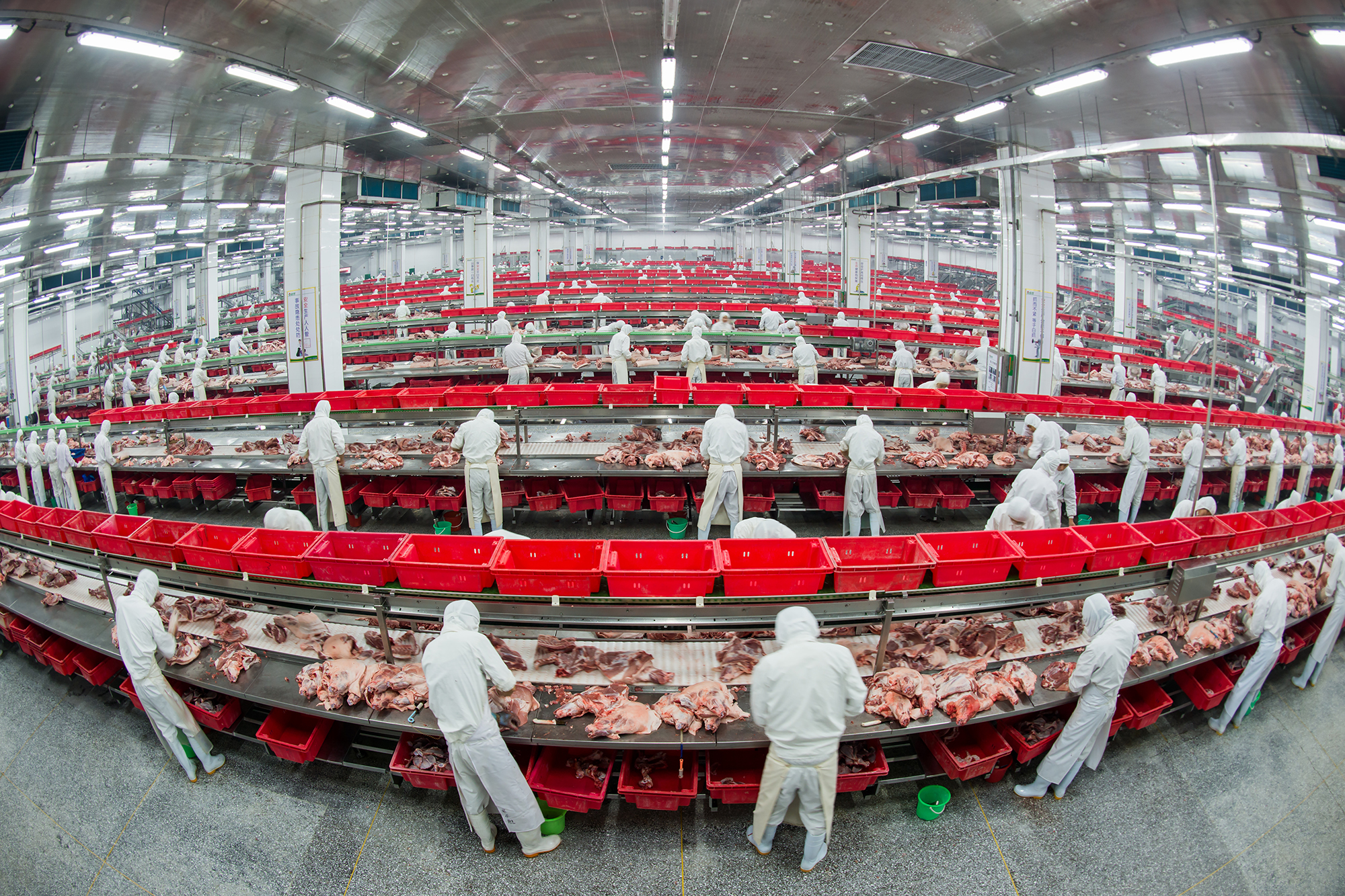 特刊|根植沂蒙 筑梦中国——金锣集团躬耕践行沂蒙精神纪实-在临沂