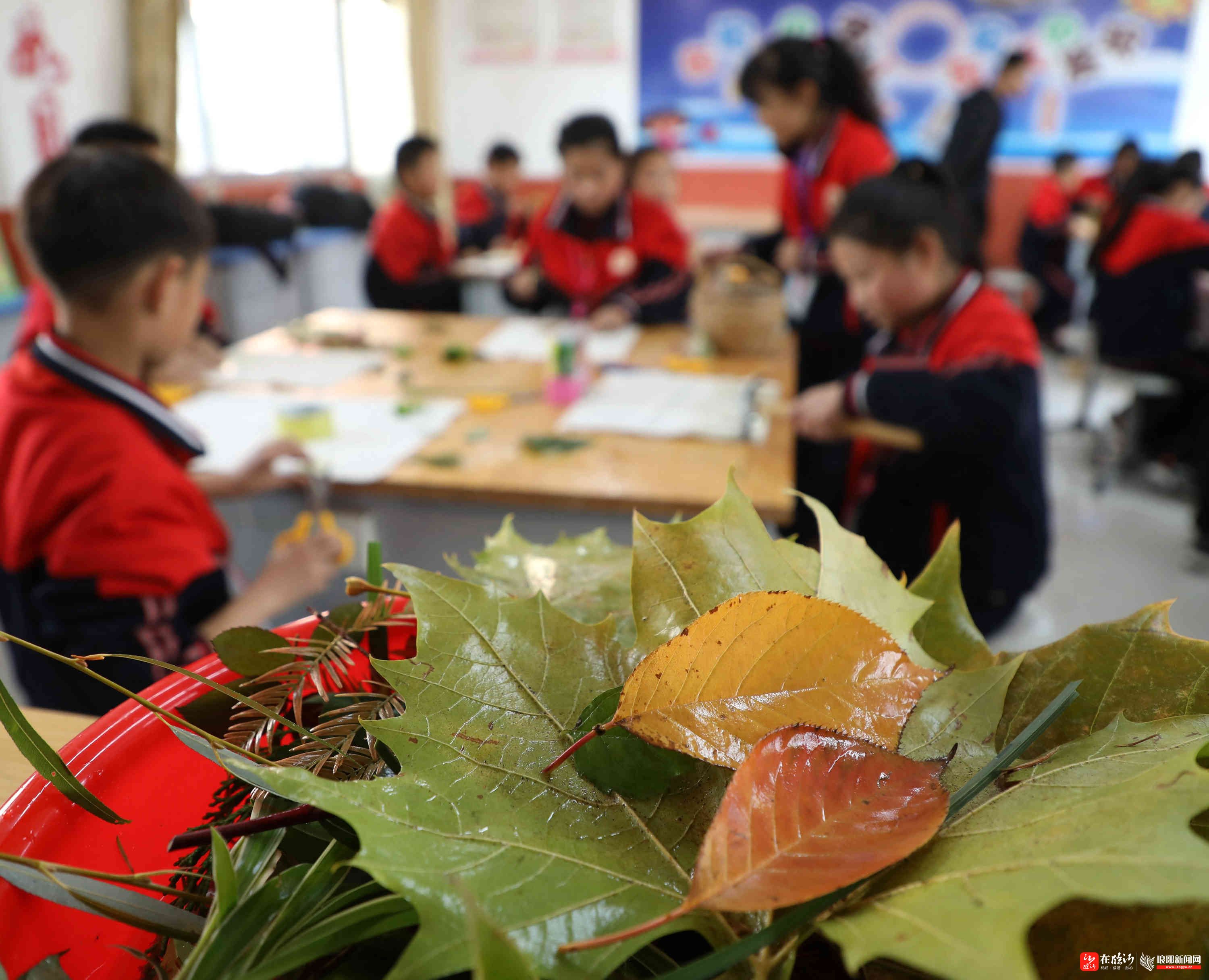 11月13日,在"植物拓印"课上,小学生将植物拓印在书包和手绢上.