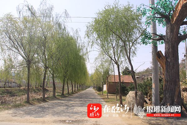 67野店镇转作风聚合力创佳绩系列报道真抓实干扎实推进农村人居环境