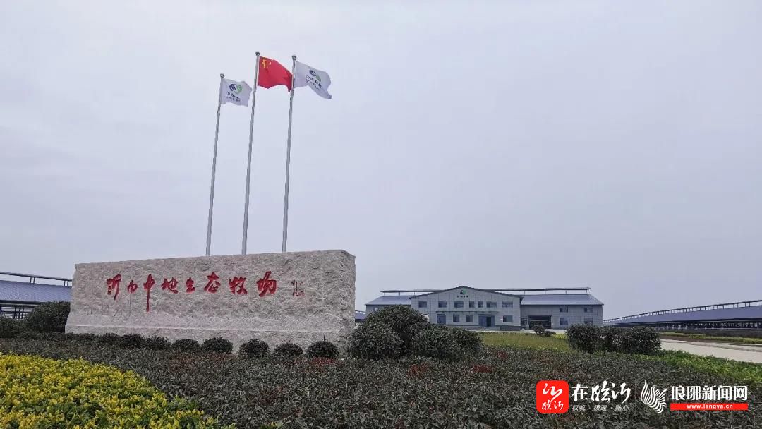 蒲汪镇铆足干劲抓落实全力以赴促发展