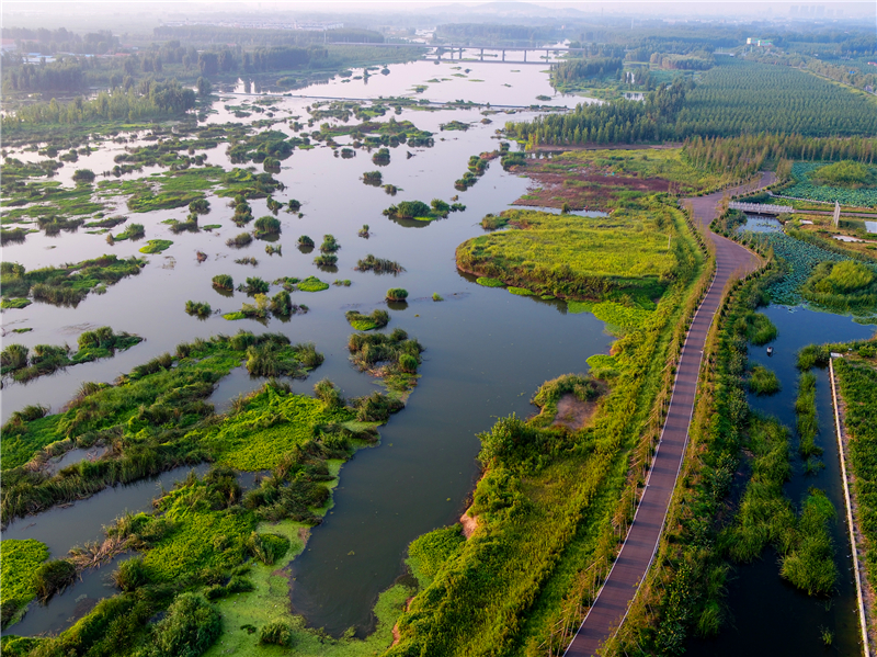 山东沂水国家湿地同时,《临沂市湿地保护办法》为湿地保护划定了红线.