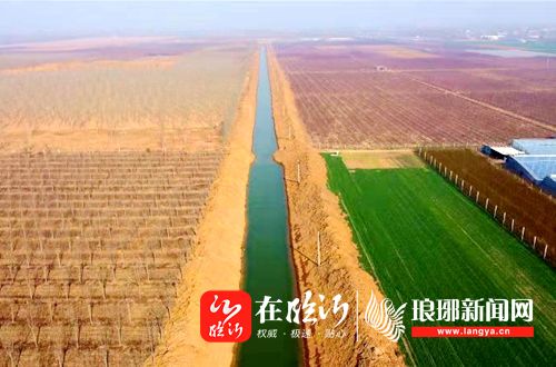 郯城县胜利镇农田水利建设忙