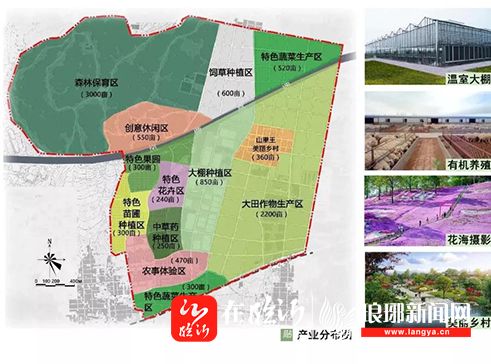 临沂乡村振兴典型案例七十兰陵县新兴镇山里王村谱写乡村振兴新篇章