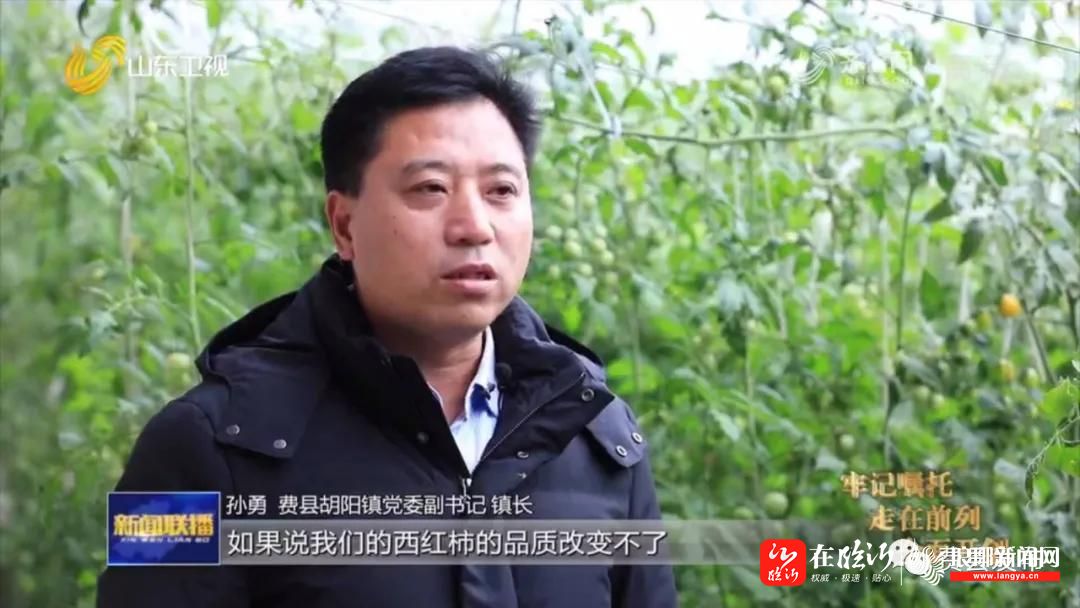 山东新闻联播头条聚焦费县