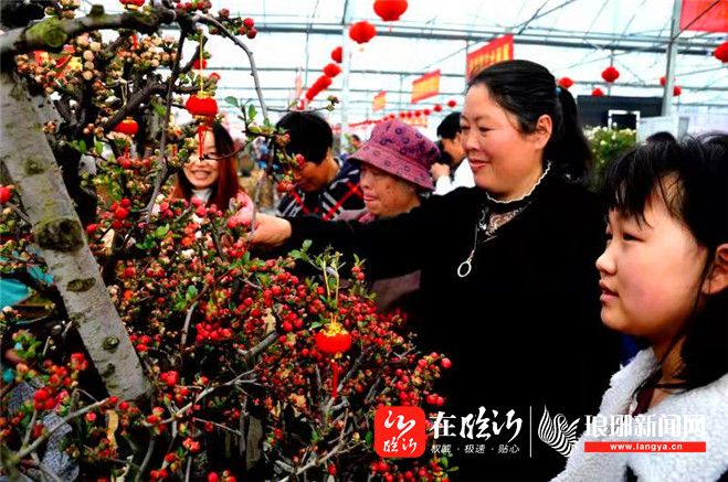 海棠花开正当时文化旅游展生机第11届临沂市花沂州海棠文化旅游节开幕