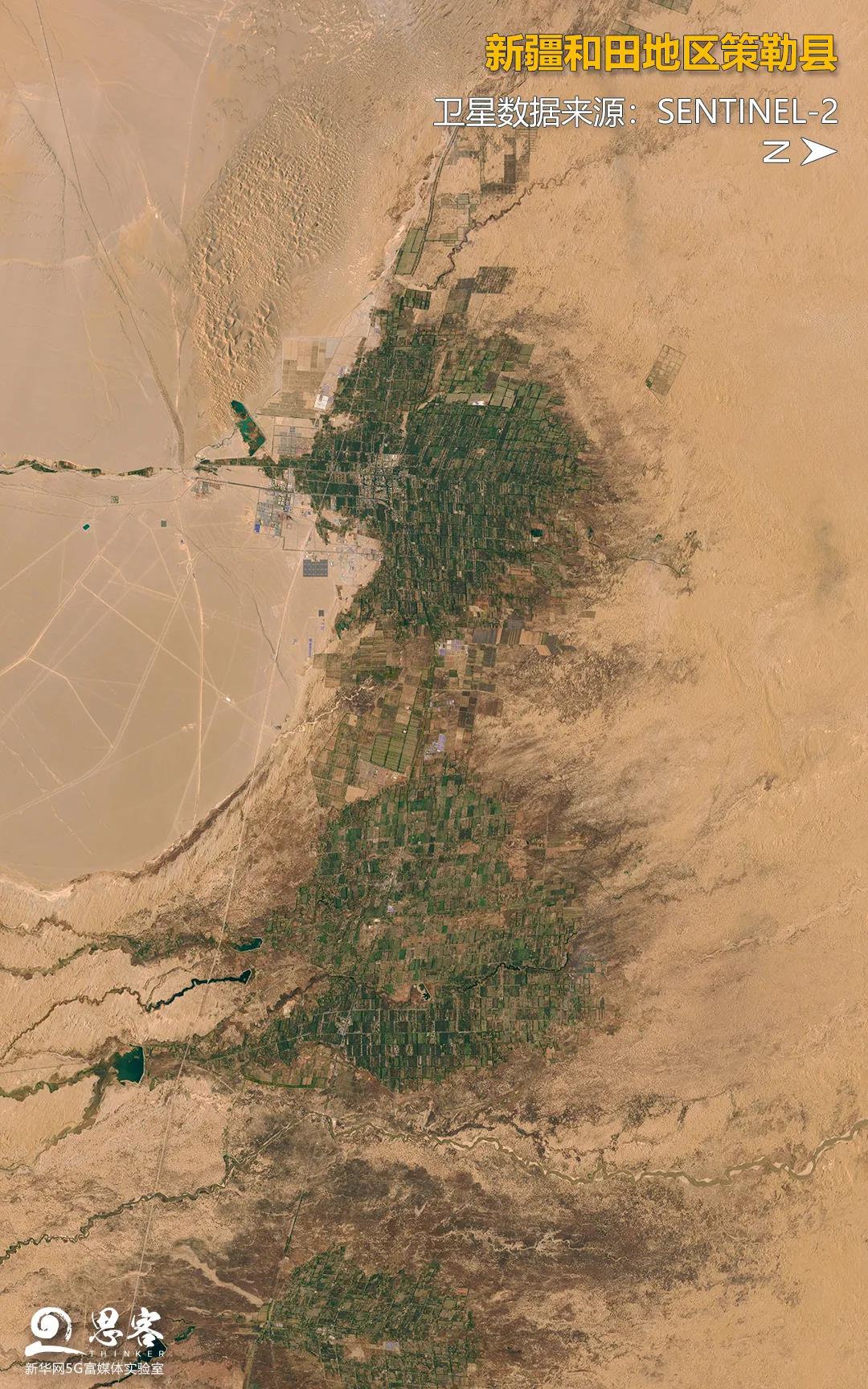 曾经险些被沙漠吞噬的村庄周围,大都被绿树环绕,当地农牧民还通过种植