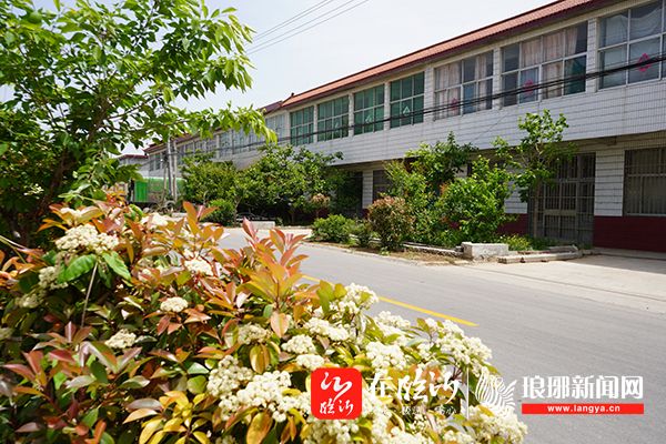 常路镇西三庄村集中清理垃圾扮靓美丽家园