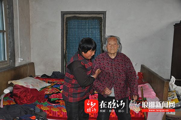 张圣兰图片